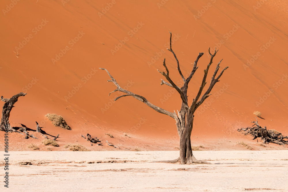 Desert landscape in Deadvlei, Namibia Desert landscape in Deadvlei, Namibia