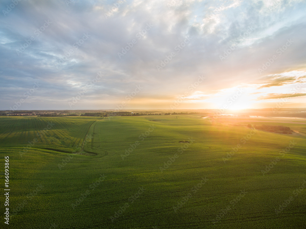 aerial view of a beautiful sunset over green  corn fields - agricultural fields