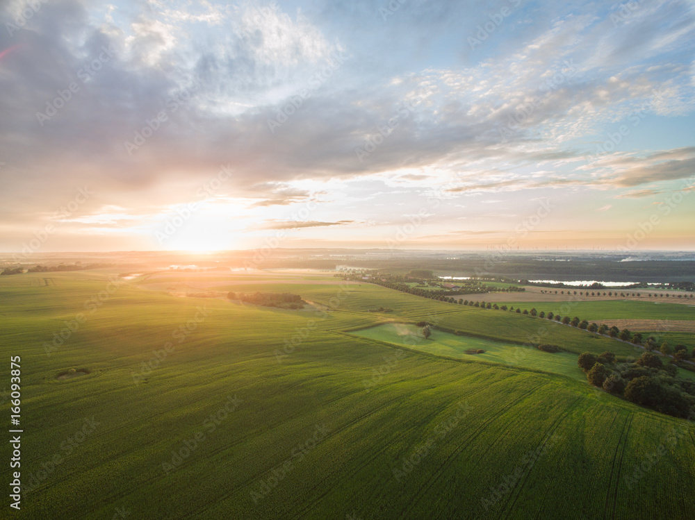 aerial view of a beautiful sunset over green  corn fields - agricultural fields