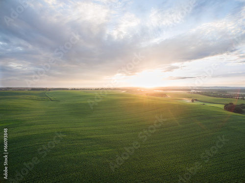 aerial view of a beautiful sunset over green  corn fields - agricultural fields © Riko Best
