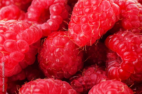 Fresh and sweet red raspberries