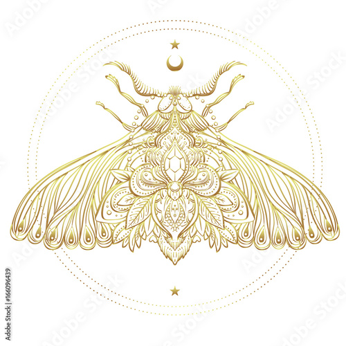 Gold and white decorative vector illustration of moth isolated on white over sacred geometry lines. Golden stickers, flash temporary tattoo. Nature, spirituality, occultism, alchemy