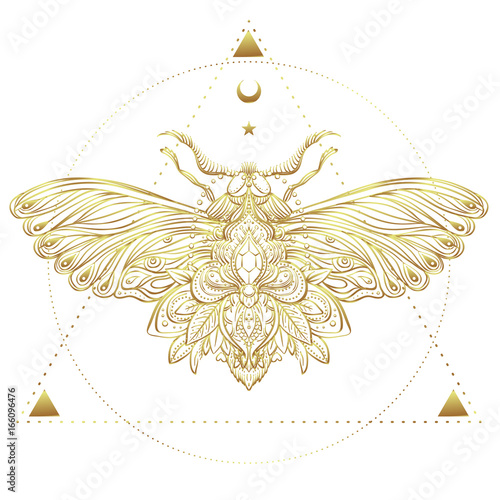 Gold and white decorative vector illustration of moth isolated on white over sacred geometry lines. Golden stickers, flash temporary tattoo. Nature, spirituality, occultism, alchemy