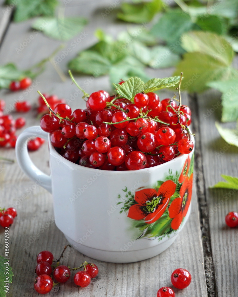 Red currant Red currant
