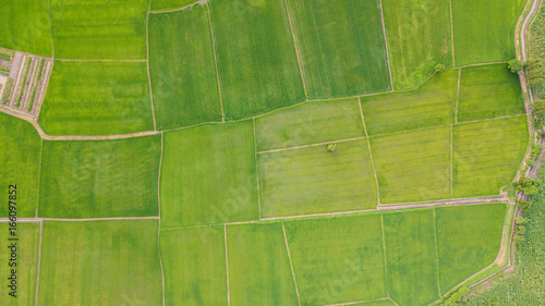 Background of Fields with various types of agriculture in rural Thailand