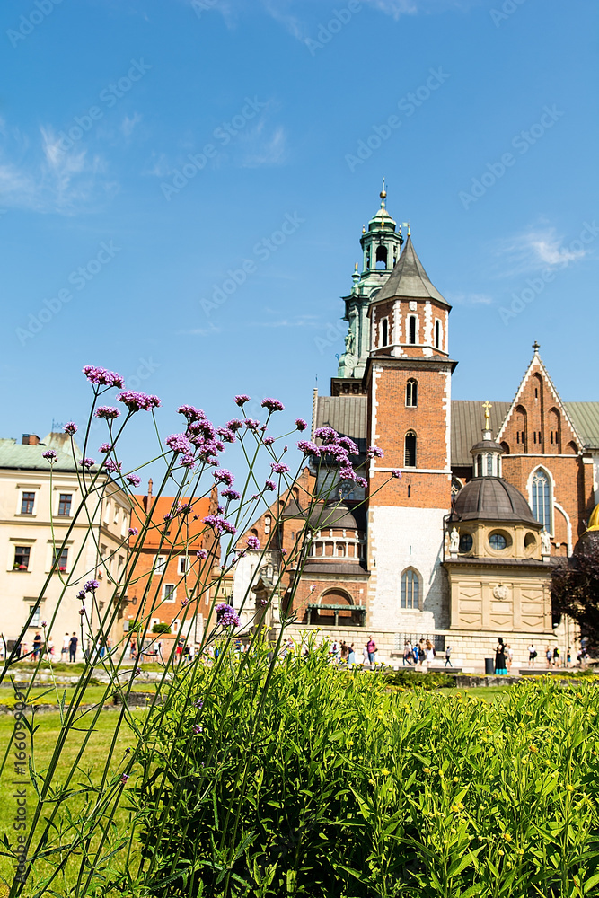 Cathedral on Castle Wawel in Krakow (Poland)