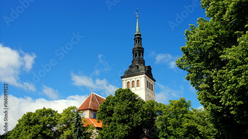 Turm der Nikolaikirche in Tallinn ragt über grüne Bäume hinaus vor blauem Himmel photo