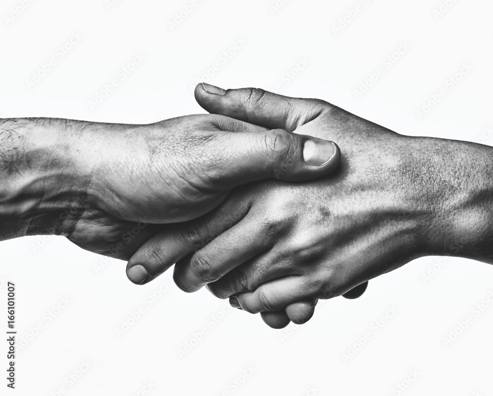 A firm handshake between the two partners. Black and white image on white  background. - obrazy, fototapety, plakaty 