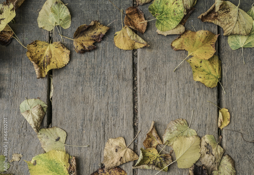 autumn leaves on wooden background autumn leaves on wooden background