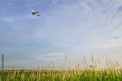 plane take off with green grass
