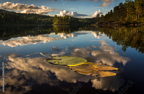 Late in the day clouds are reflected on the smooth surface of a freshwater lake in Iveland, Norway © Lillian