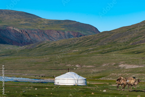 Ger Jurte und Kamele in der Mongolei