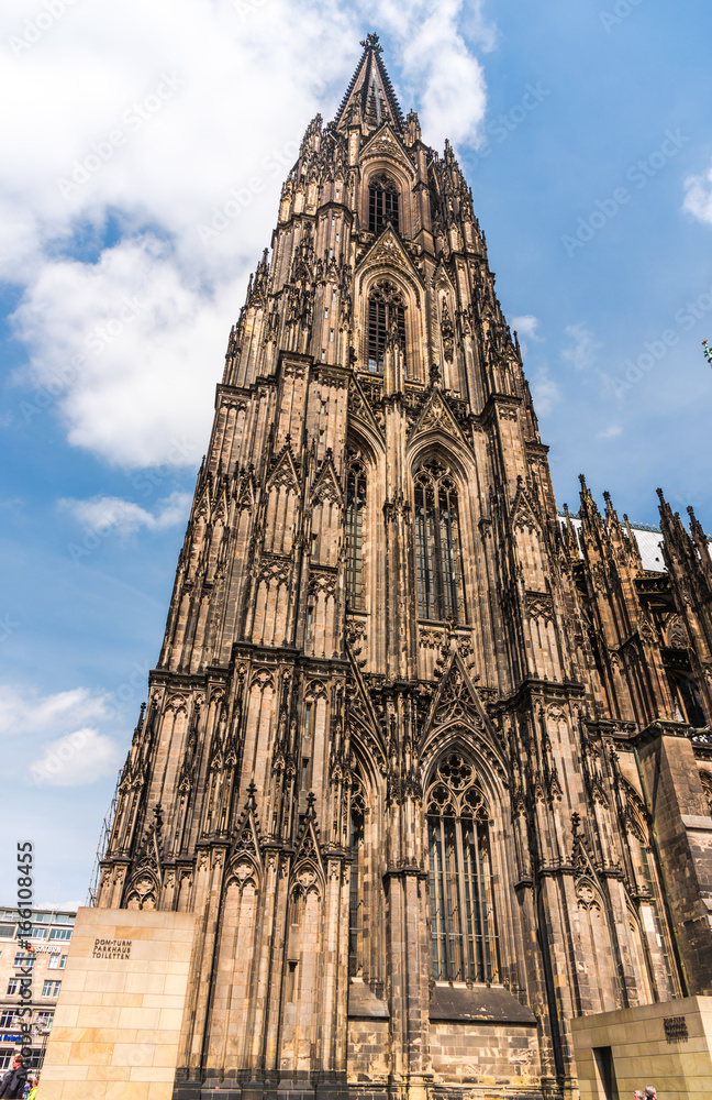 Fototapeta premium Gothic arhitecture