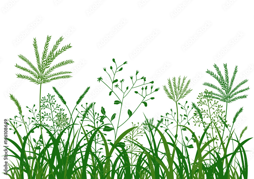 Fototapeta premium green grass flower background illustration, nature vector