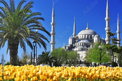 Photography Sultan Ahmed Mosque or Blue Mosque in Istanbul, Turkey