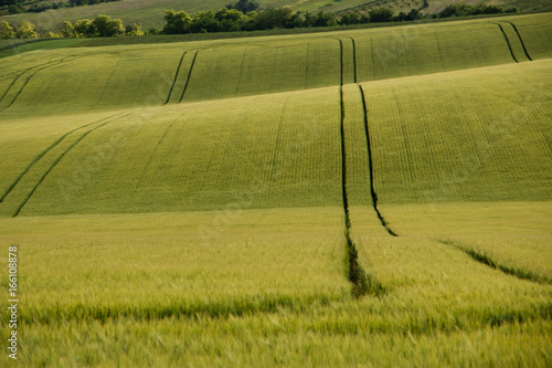 Green field path