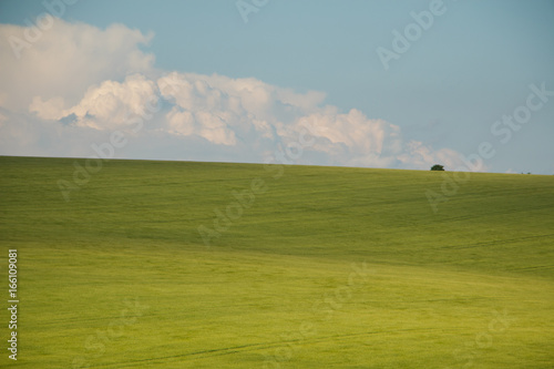 Green horizon