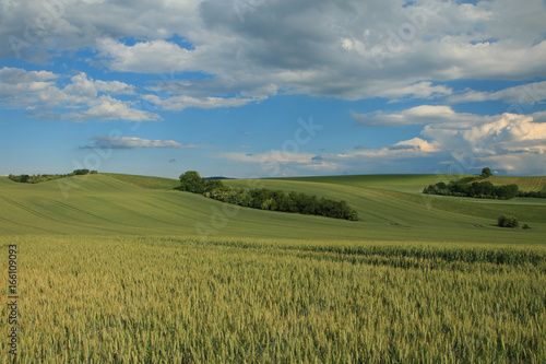 Moravian field waves