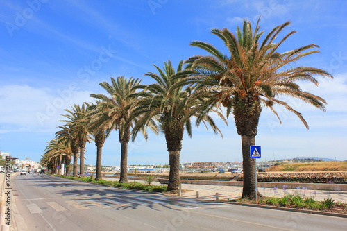 Palm trees near empty street and embankment in touristic european small town. Summer sunny day scene with no people, tropical vacation, holidays, travel tourism empty background copy space wallpaper.