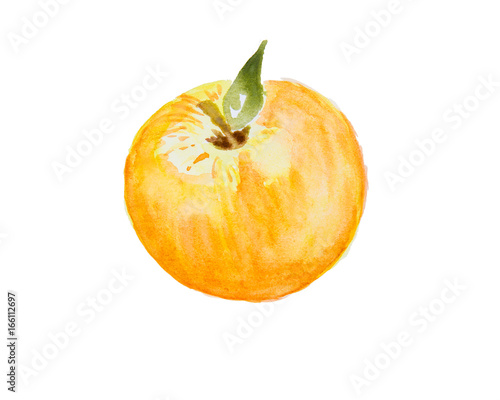 Watercolor illustration of an apple