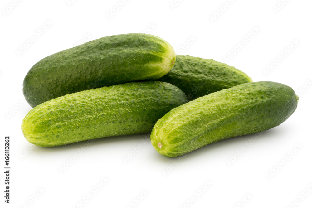 Eco cucumber on white background. Fresh vegetables. Eco cucumber on white background. Fresh vegetables.