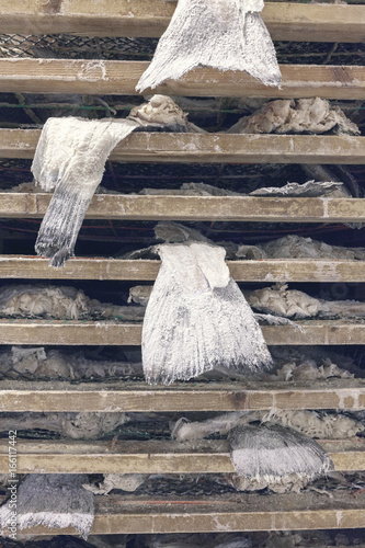 Salted cod dried on wooden racks