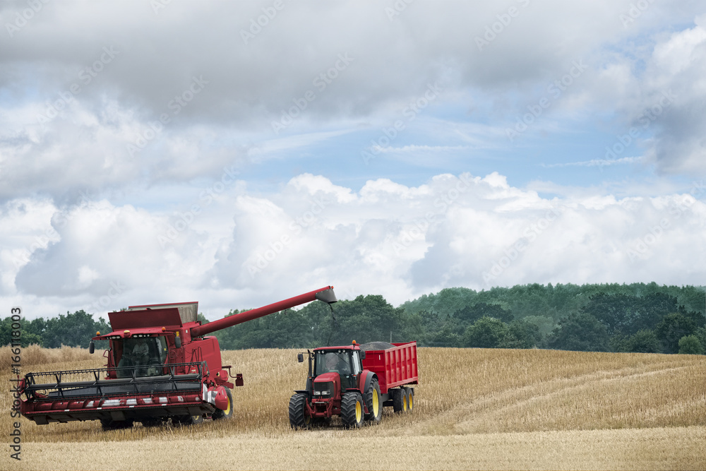 Obraz premium Harvest 01