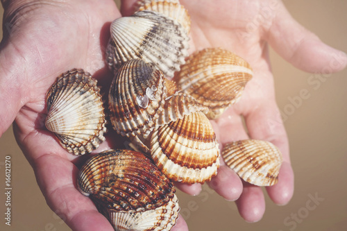 Hands full of sea shells