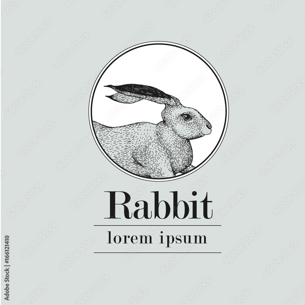 Fototapeta premium Hand drawn rabbit logo template. Vector vintage illustration.