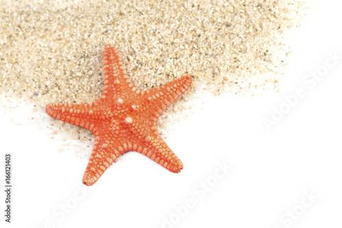 Sand and a starfish