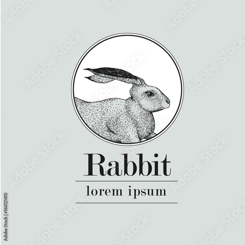 Hand drawn rabbit logo template. Vector vintage illustration.