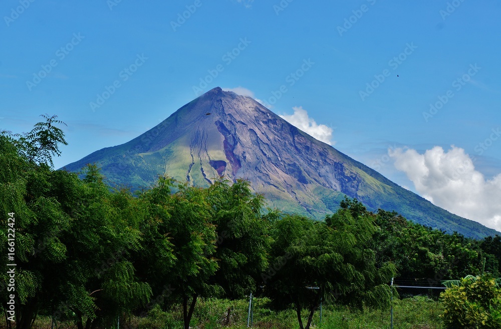 Fototapeta premium Le Conception