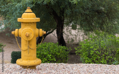 Cuadro en lienzo Yellow Fire Hydrant