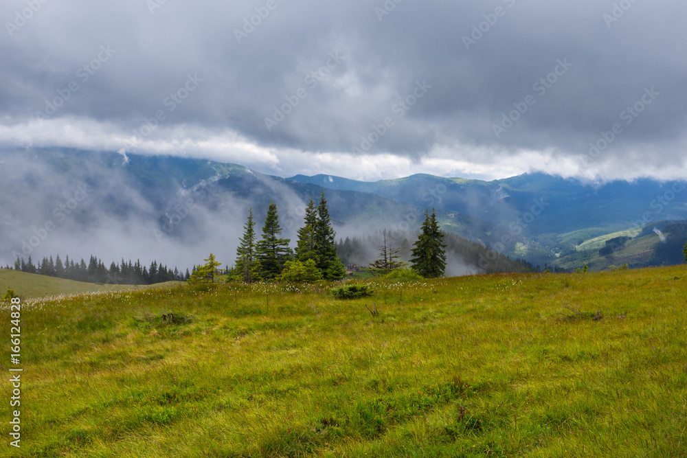 Fototapeta premium quiet mountain valley in a mist