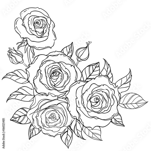 Black and white tattoo style roses with leaves isolated on white background. ...