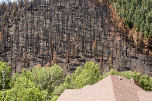 Rooftop near the destruction from a forest fire photo