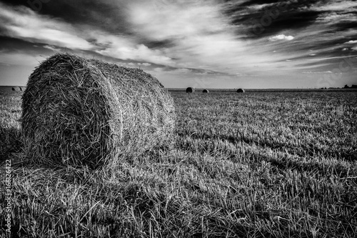 Fine-art wide angle shot of hay bales and field in black and white