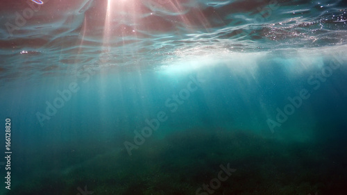 Fototapeta Naklejka Na Ścianę i Meble -  natural underwater background 