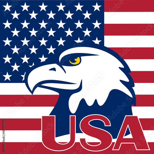 Flag of the USA and eagle