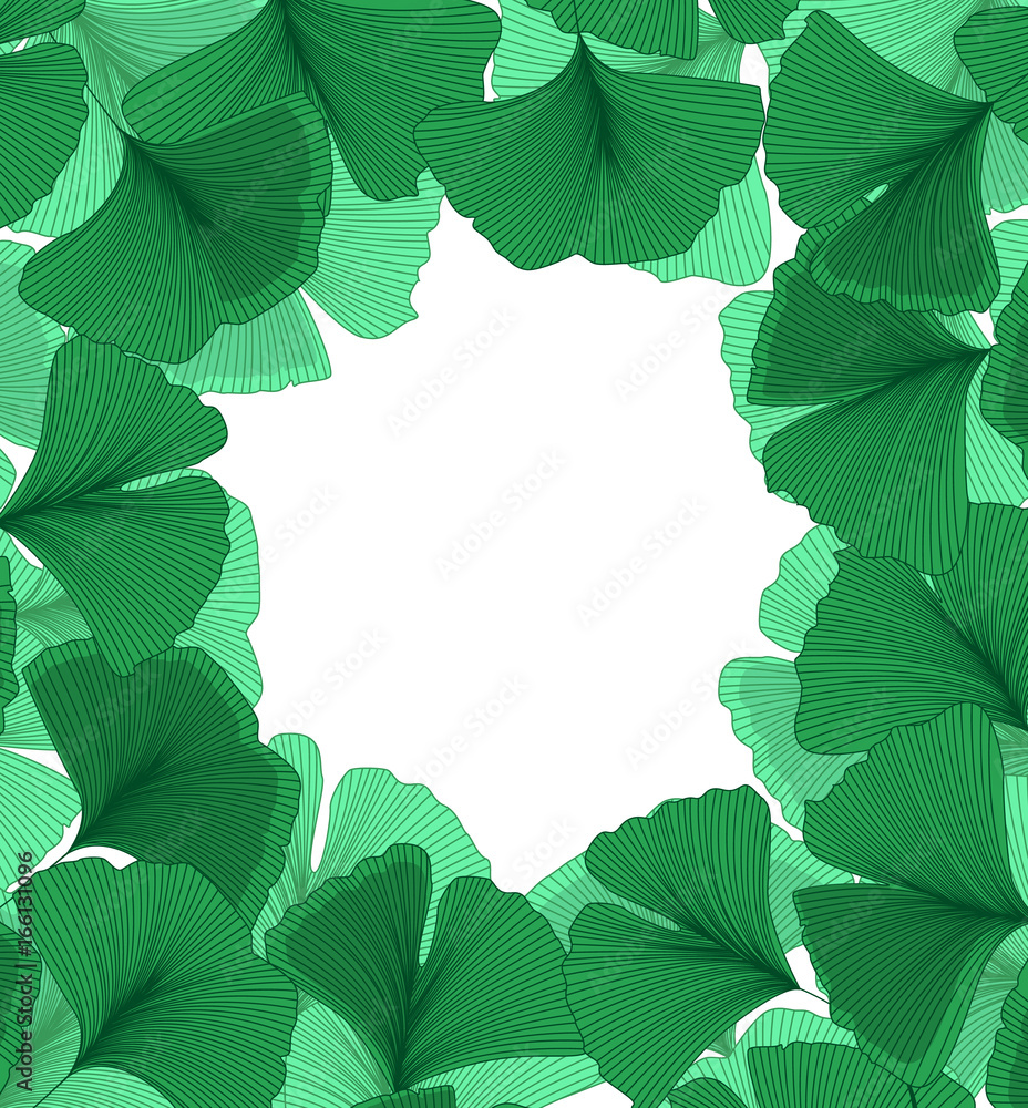 Ginkgo biloba leaves Ginkgo biloba leaves