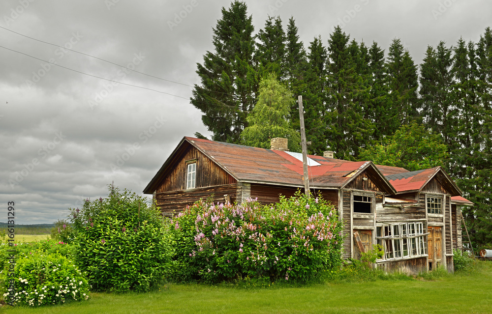 Obraz premium Traditional old half-ruined wooden house