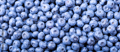 fresh blueberries as background