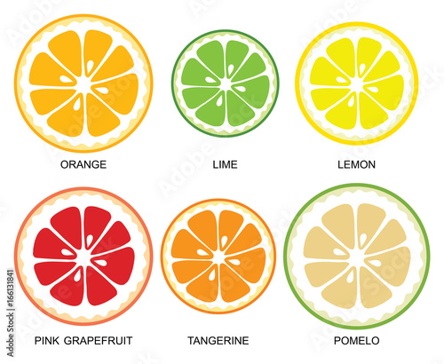 Vector citrus slices. Pieces of citrus fruits (orange, lime, lemon, grapefruit, tangerine, pomelo) on white background, collection of vector illustrations