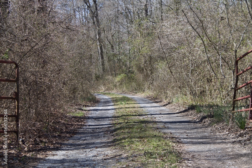 Obraz premium Dirt Road