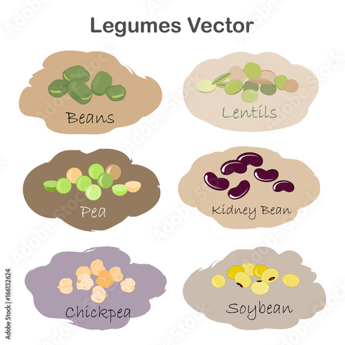 Set of different cartoon legumes labels isolated on white background. Kidney, soy, green beans, peas, chickpeas, lentils.