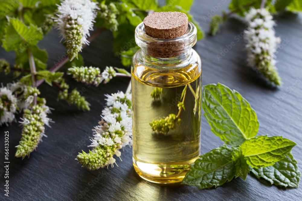 A bottle of peppermint essential oil with peppermint leaves A bottle of peppermint essential oil with peppermint leaves