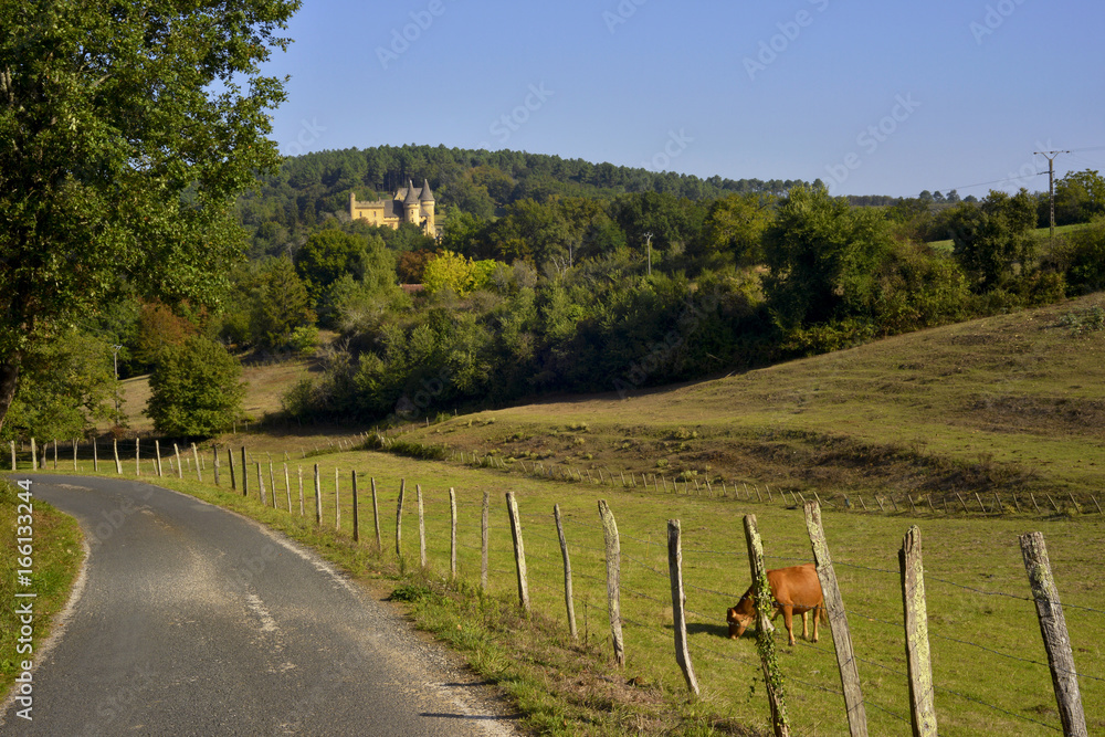Obraz premium Route de campagne du Périgord aux environs de Sarlat-la-Canéda (24200), département de la Dordogne en région Nouvelle-Aquitaine, France