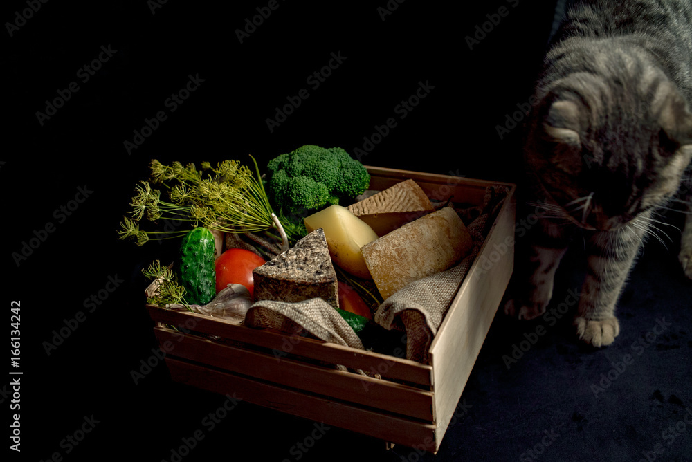 Curious cat near the box with kraft homemade cheese and vegetables.
