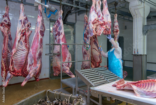 cutting meat slaughterhouse workers in a meat factory. photo