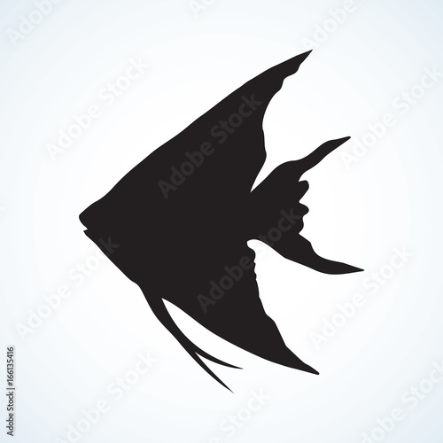 Triangular fish. Vector drawing